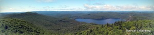 Panoramic from the fire tower