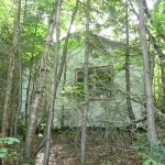 Abandoned shack in the woods