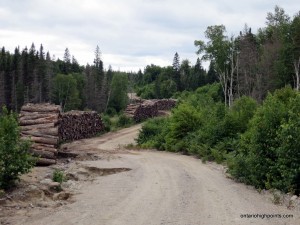 Old logs stacked alongside Sonny Lake Road