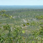 View of the clear cut from the summit