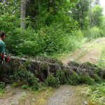 Derek clearing a fallen tree from the road