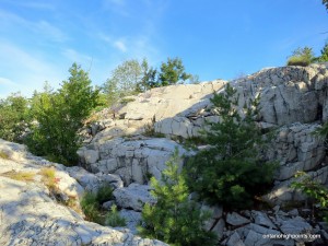 Rugged quartzite rock terrain