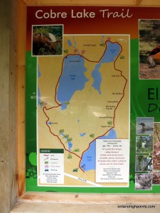 Map of the Cobre Lake Trail at the information kiosk