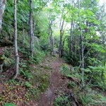 King Mt. Snowshoe Trail
