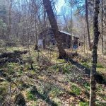 Old cabin in the woods on the quad trail