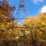 Wilkie Lake Fire Tower