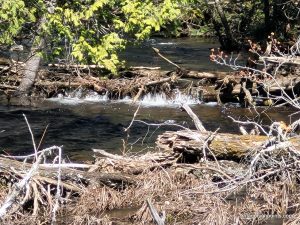 Hinterland creek - small falls east of the bridge