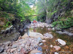 Hiking up the WGR tributary